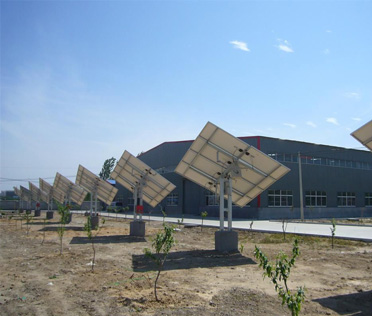 Case 6
